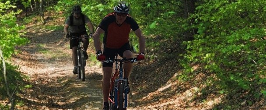 Biking in Brussels -  Forest of Soignes